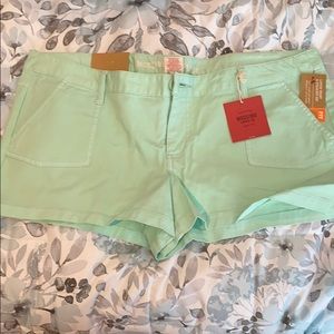 Brand new mint green shorts